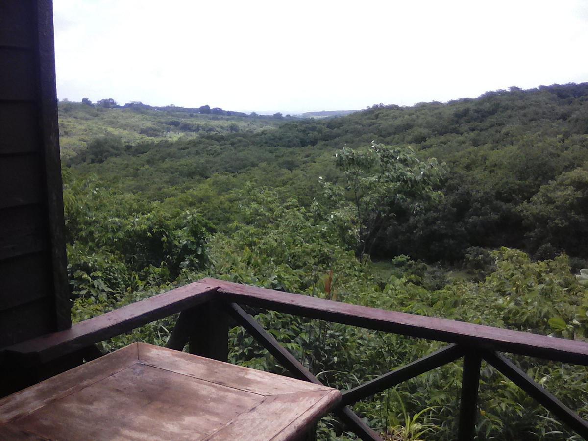 Nature House Eco-Lodge& Trekking بانلونغ المظهر الخارجي الصورة