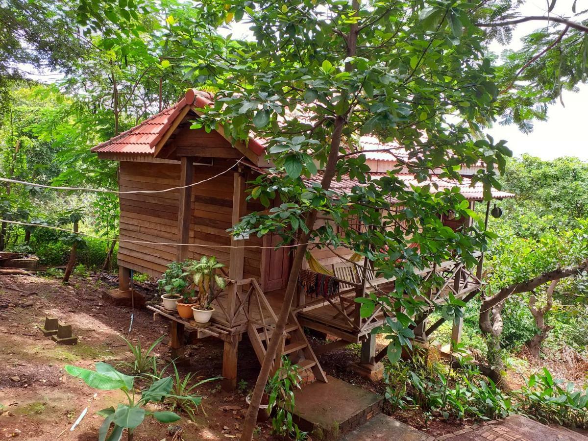 Nature House Eco-Lodge& Trekking بانلونغ المظهر الخارجي الصورة